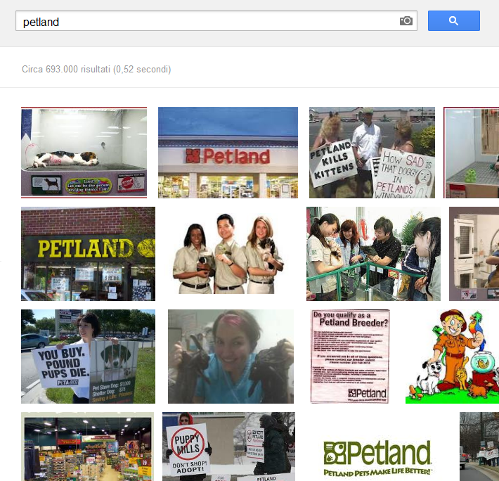 Ricerca Petland su Google Immagini